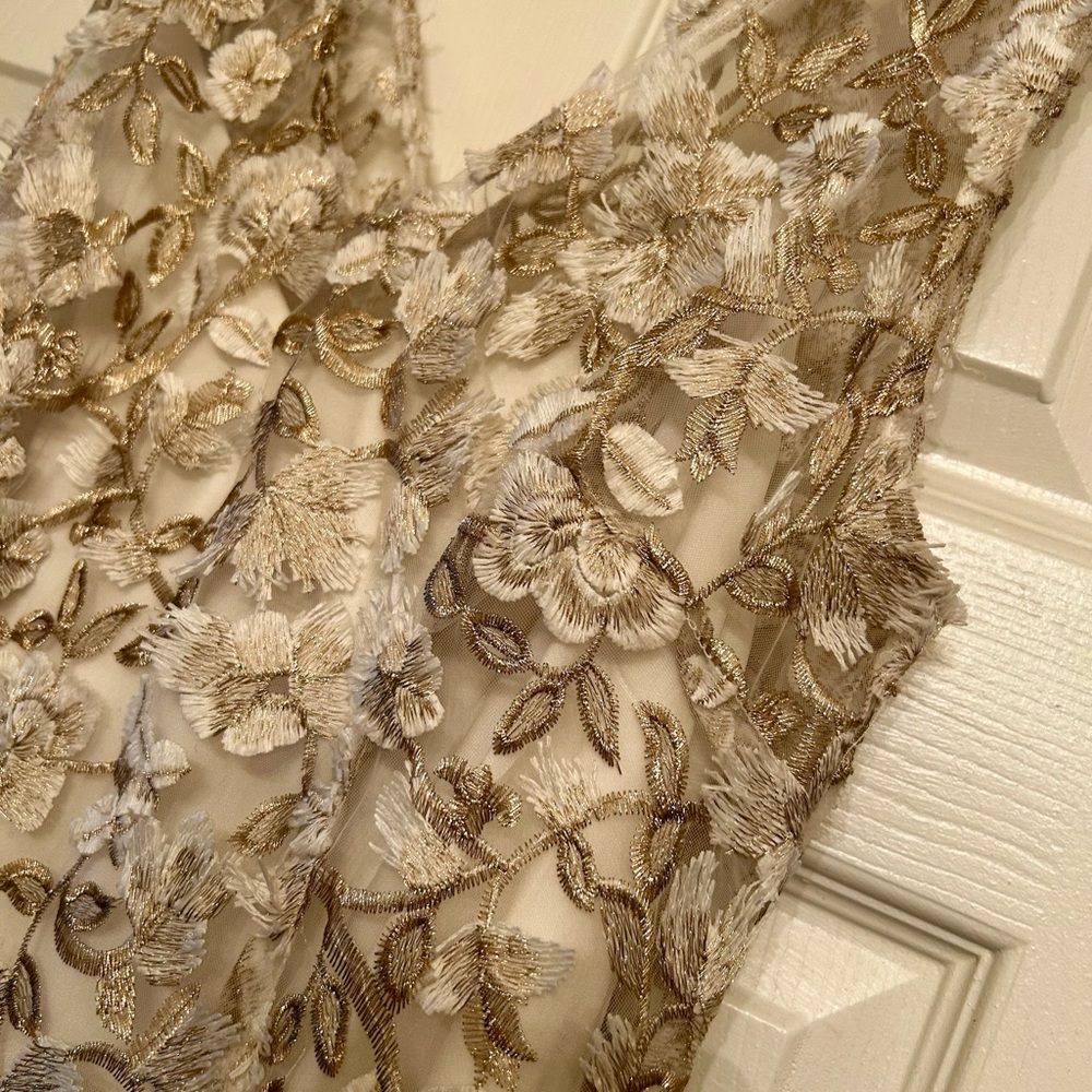 Adrianna Papell size 10